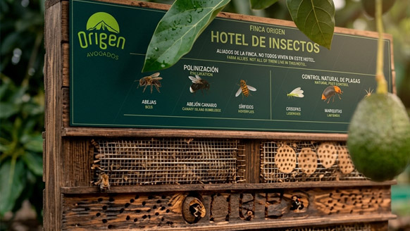 Detalle del hotel de insectos de Finca Origen entre aguacateros