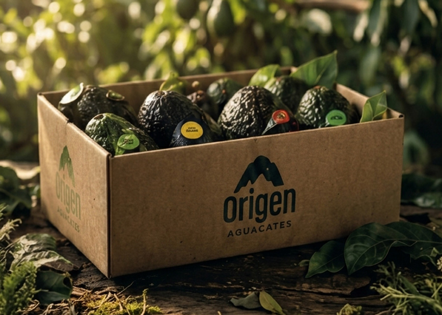 Caja Origen con aguacates identificados por su punto de maduración