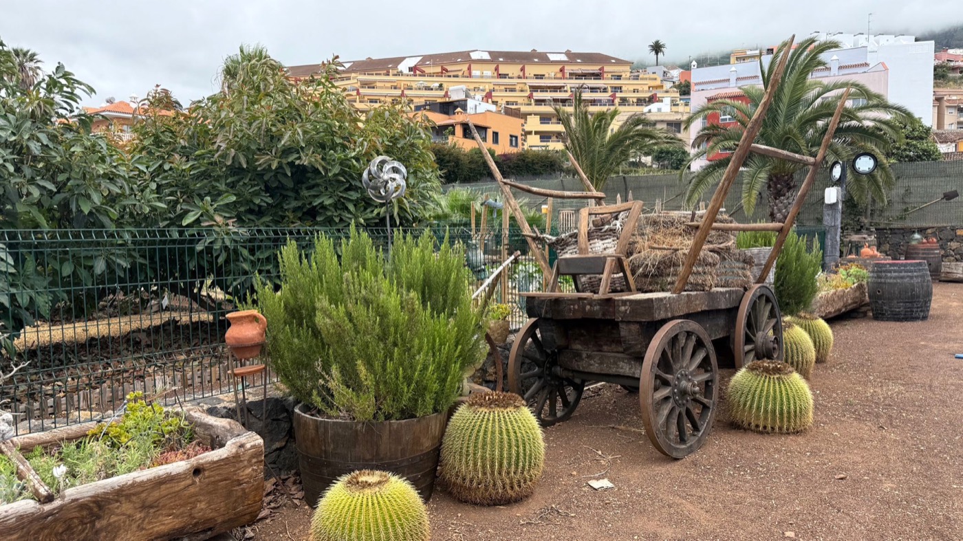 Carro tradicional y jardines de Finca Origen