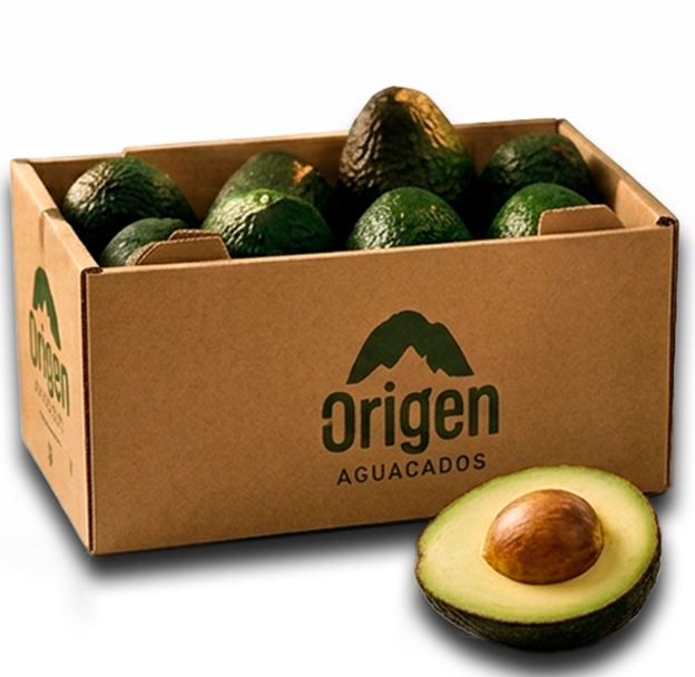 Caja de 5 kg de Aguacates Origen