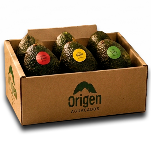 Caja Origen de 5 kg con aguacates en tres puntos de maduración